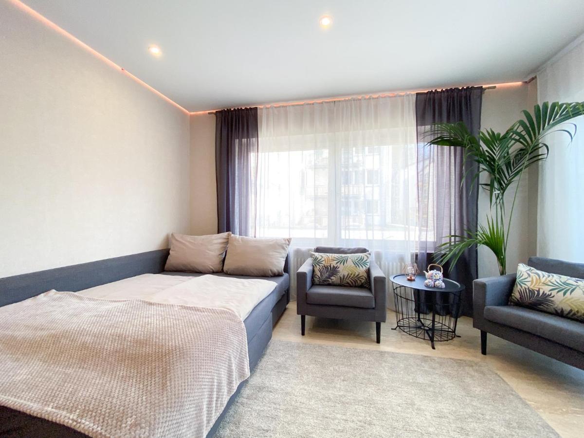 Modernes Apartment In Zentrumsnaehe Mit Eigenem Stellplatz Baden-Baden Exteriör bild